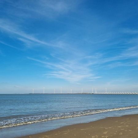 Ruime Vrijstaande Vakantiewoning Aan Veerse Meer, 6 Persoons Wolphaartsdijk Экстерьер фото