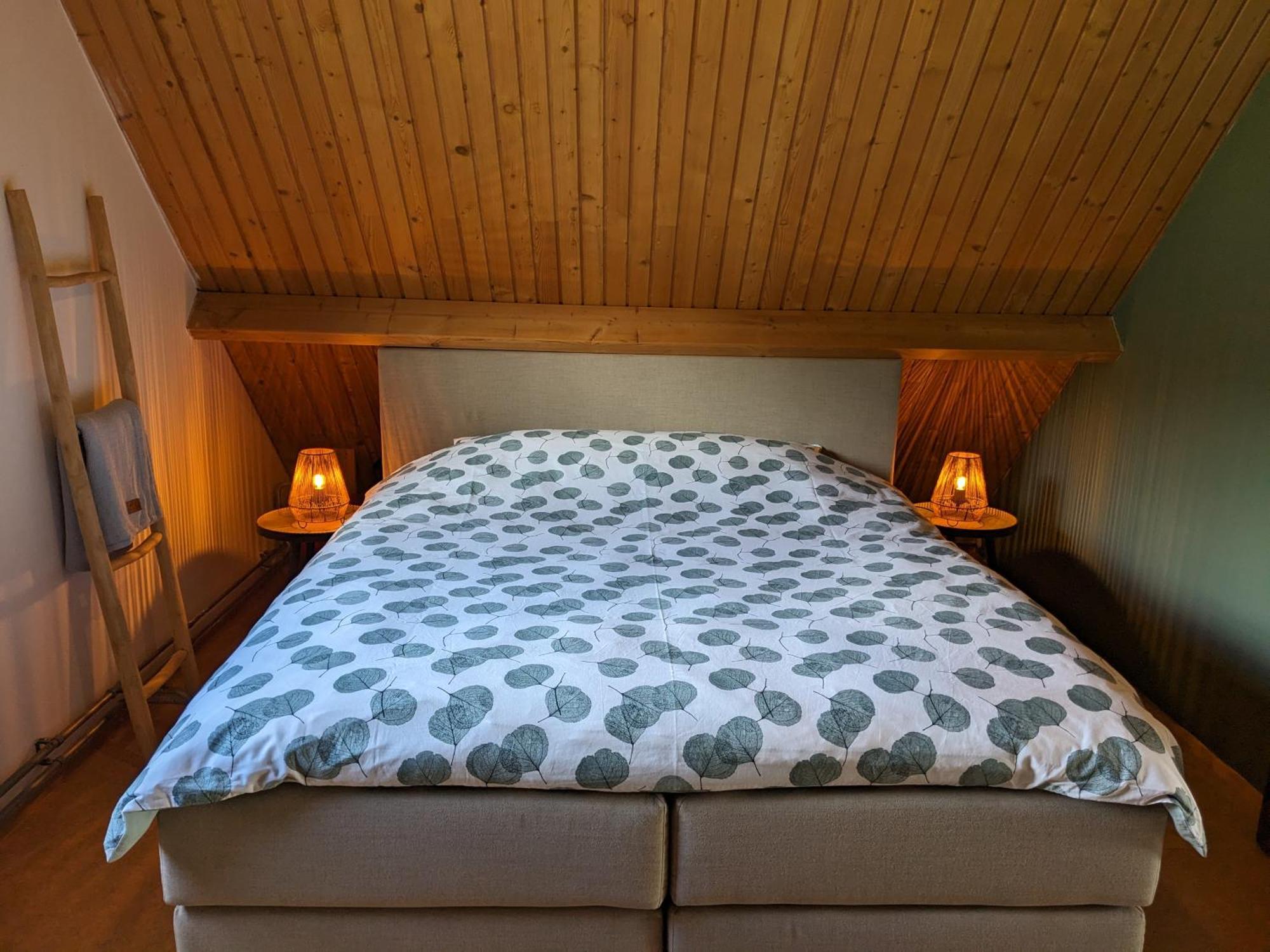 Ruime Vrijstaande Vakantiewoning Aan Veerse Meer, 6 Persoons Wolphaartsdijk Экстерьер фото